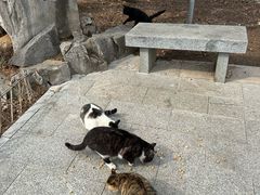 -四门塔风景区