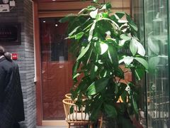 -丹江渔村(望京店)