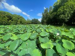 -同里国家湿地公园