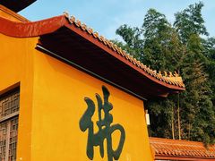 -大伊山景区