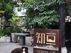 -知亘茶食