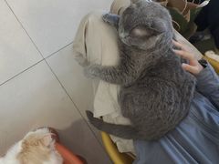 -平行世界·猫咖(首经贸店)