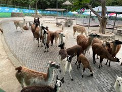 -西安秦岭野生动物园