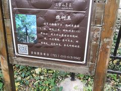 -北京上方山国家森林公园