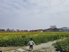 -中国天府农业博览园