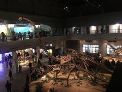 -自贡恐龙博物馆