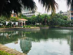 -厦门大学(思明校区)
