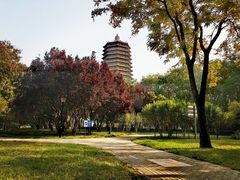 -玲珑塔公园