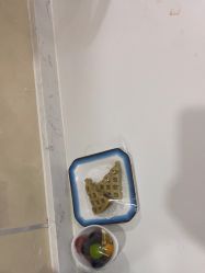 -大连新百佳妇儿医院