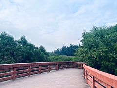 -宝安西湾红树林湿地公园