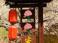 -雁门关景区