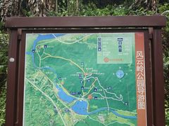 -风云岭森林公园