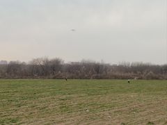 -汉长安城未央宫国家考古遗址公园