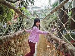 -正佳雨林生态植物园