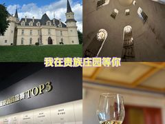 -北京张裕爱斐堡酒庄