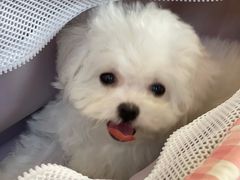 -comecome来吧宠物(奥克斯中心店)