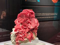 -湖南省地质博物馆