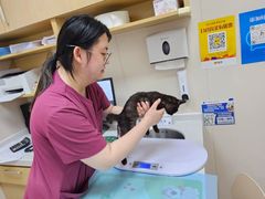 -芭比堂动物医院·CT·微创中心(新顺分院)