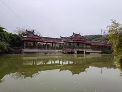 景点-张坝桂圆林公园