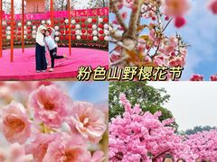 -盈香心动乐园