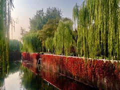 -蒙楼咖啡(清华大学蒙民伟楼店)