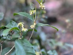 -宁波市保国寺古建筑博物馆