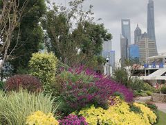 -北外滩滨江绿地