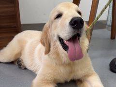 -心仪动物医院·牙专科·肿瘤·心脏科(西客站院)