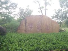 -聚龙山公园