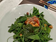 -巴依老爷新疆美食(望京小街店)