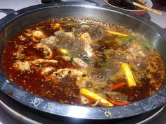 红锅锅底-蜀滋香鲜鱼美蛙火锅(339店)