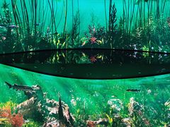 -中国湿地博物馆