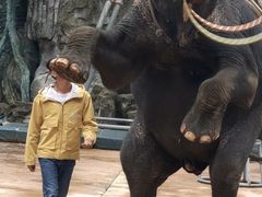 -贵州森林野生动物园