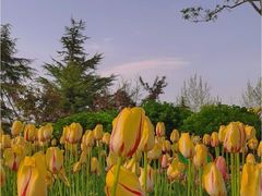 -廊坊文化艺术中心