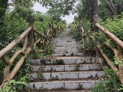 -青龙山国家森林公园