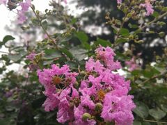 -陈李济中药博物馆