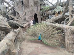 -长鹿旅游休博园