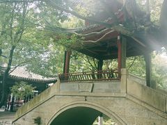 -龙潭水乡