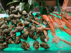 -上海东方佘山翰悦阁酒店·Vie全日制餐厅