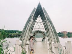 -大塘金香草谷
