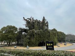 -上海月湖雕塑公园