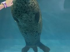 -左海海底世界