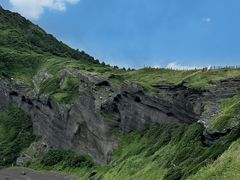 -涉地可支
