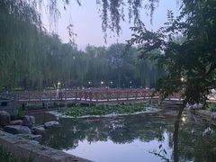 -丰台科技园生态主题公园