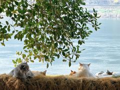 -全季酒店(重庆上清寺牛角沱地铁站店)