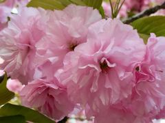 -苏州河梦清园环保主题公园