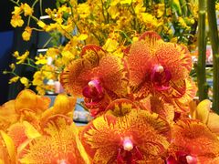 -BEAST野兽派(上海浦东嘉里城店)