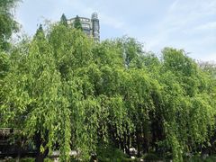 -南通濠河风景名胜区