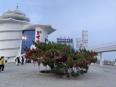 -北戴河碧螺塔海上酒吧公园