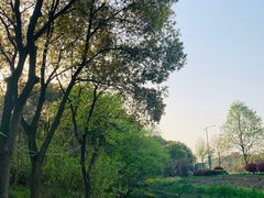 -宾湖农庄·农场特色(太湖龙之梦店)